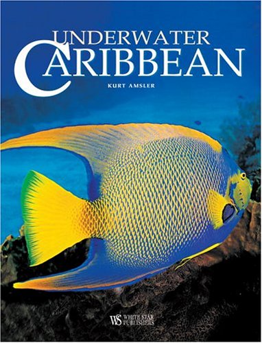 Imagen de archivo de Underwater Caribbean a la venta por Better World Books Ltd