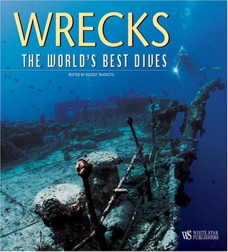 Stock image for The Best Dive Wrecks of the World for sale by Bookmans