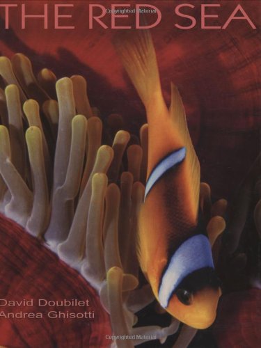 Imagen de archivo de The Red Sea a la venta por Better World Books