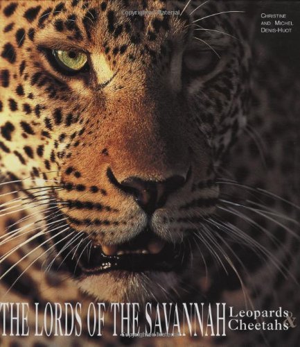 Stock image for The Lords of the Savannah: Leopards & Cheetahs for sale by ThriftBooks-Atlanta