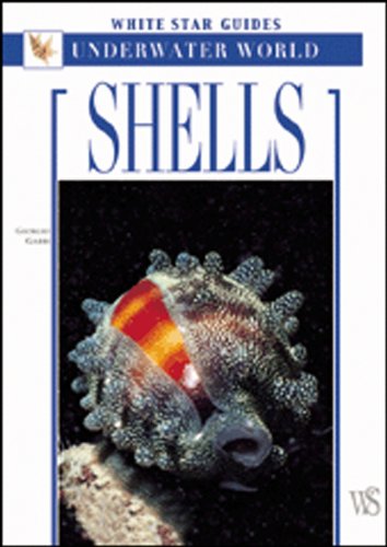 9788854400931: Shells (Le guide White Star)