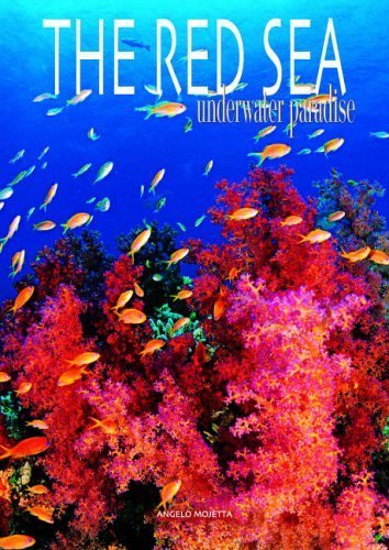 Imagen de archivo de Red Sea and Complete Coral Reef Guide a la venta por WorldofBooks