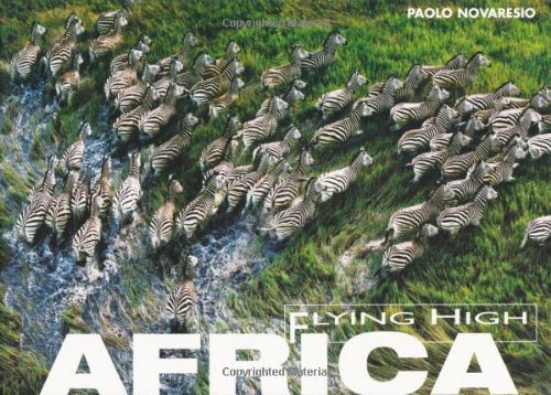 Imagen de archivo de Africa (Flying High) a la venta por WorldofBooks