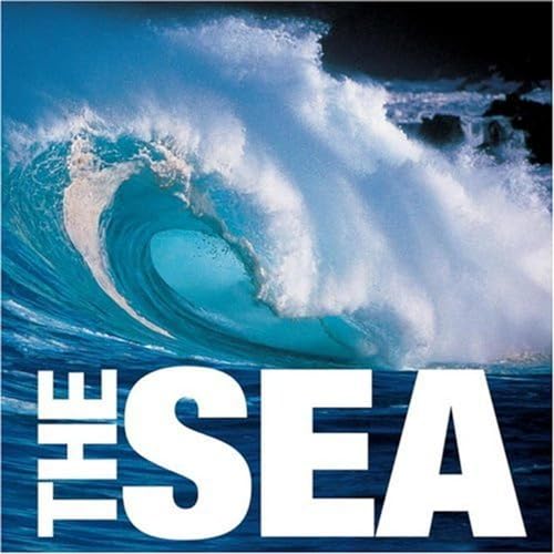 Stock image for The Sea (Big Cube Book) for sale by WorldofBooks