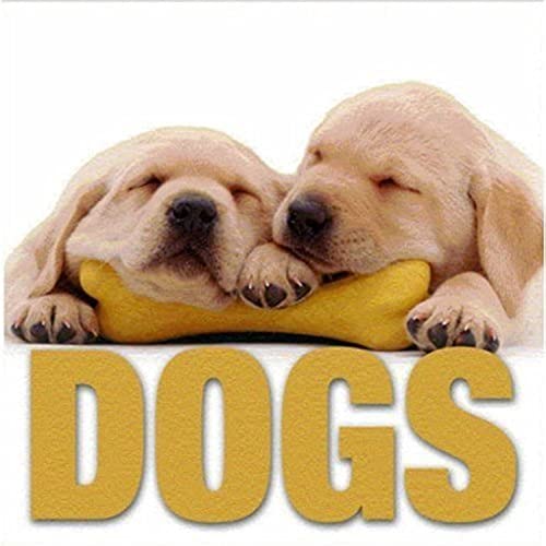 9788854402232: Dogs (Minicube Book)