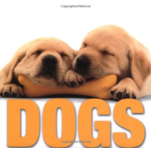 Beispielbild fr Dogs (Supercubebook) zum Verkauf von AwesomeBooks