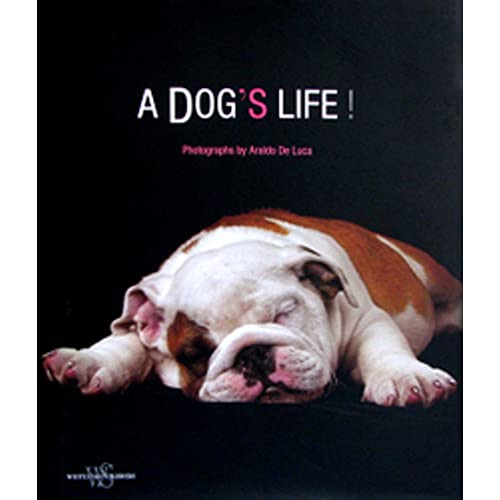 Beispielbild fr A Dog's Life zum Verkauf von SecondSale