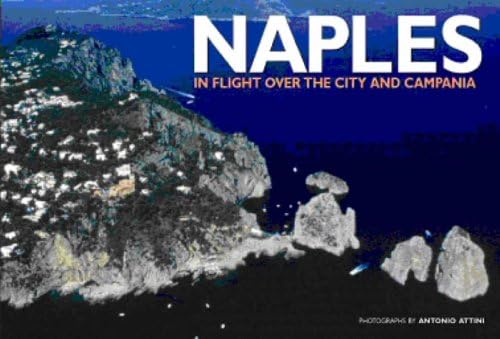 Beispielbild fr Naples In Flight Over the City & Campania zum Verkauf von Harry Alter