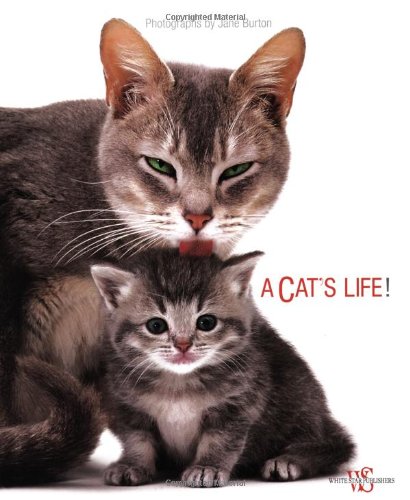 Stock image for A Cat's Life for sale by Ergodebooks