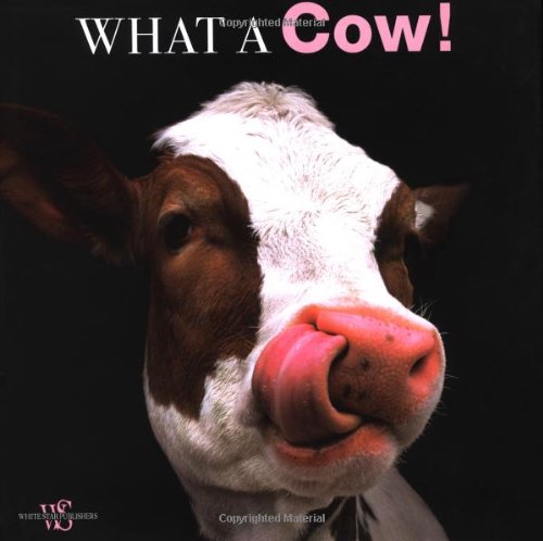 What a Cow! (9788854405547) by De Luca, Araldo