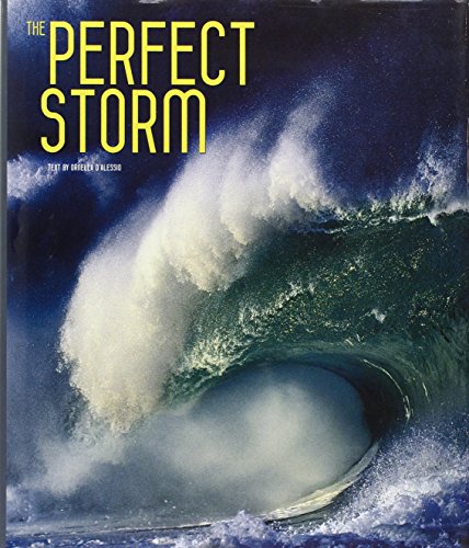 Beispielbild fr The Perfect Storm zum Verkauf von Better World Books