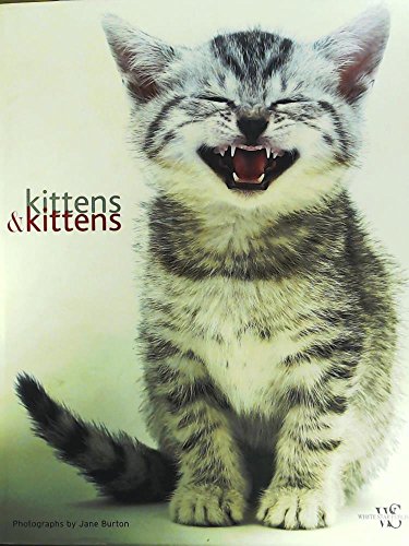 Beispielbild fr Kittens & Kittens zum Verkauf von Hay-on-Wye Booksellers