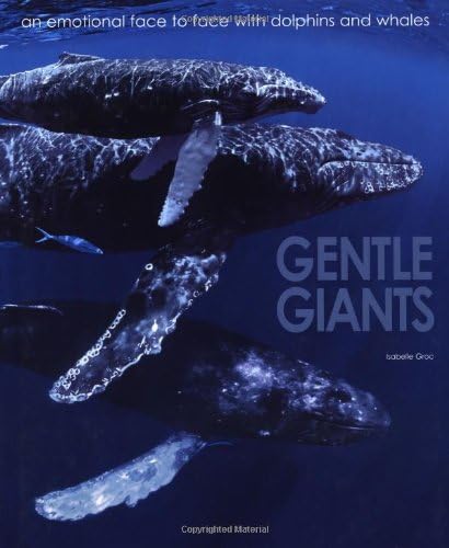 Beispielbild fr Gentle Giants : An Emotional Face to Face with Dolphins and Whales zum Verkauf von Better World Books: West