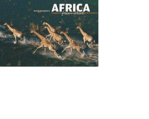 Stock image for Africa From Above for sale by Hay-on-Wye Booksellers