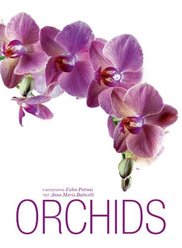 9788854407657: Orchids