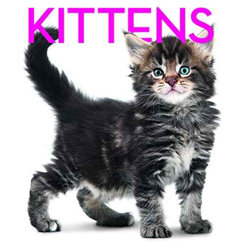 Stock image for Kittens Cubebook: Cube Book (Cube Books) for sale by Devils in the Detail Ltd