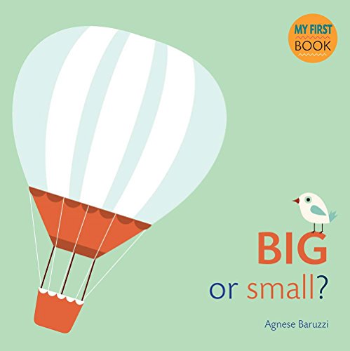 9788854411104: Big or Small? (My First Book)