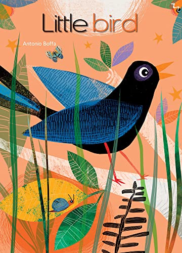 Stock image for Little Bird Format: Board book for sale by INDOO