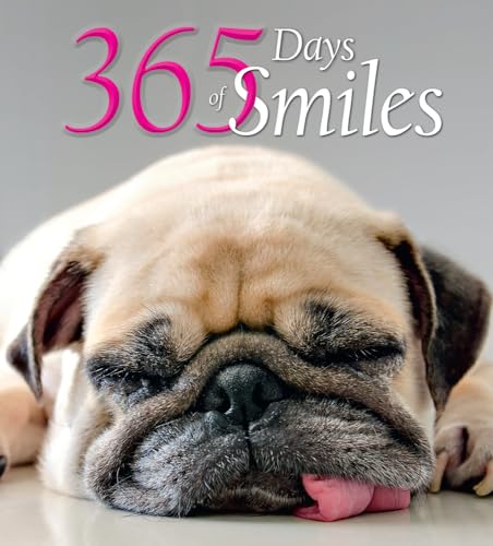 Beispielbild fr 365 Days of Smiles zum Verkauf von Buchpark