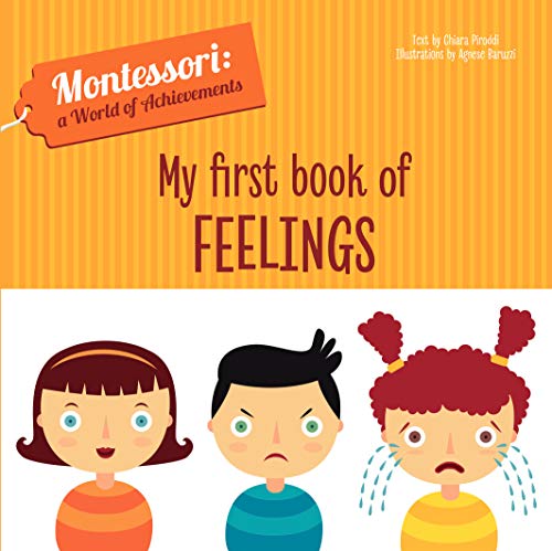 Imagen de archivo de My First Book of Feelings (Montessori World of Achievements) a la venta por AwesomeBooks