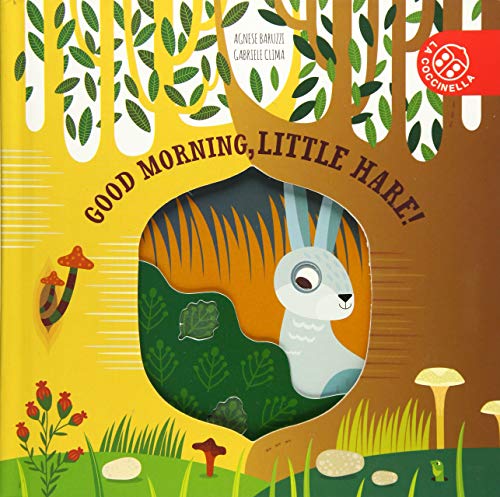 Stock image for Little Nature Stories: Good Morning, Little Hare for sale by WorldofBooks