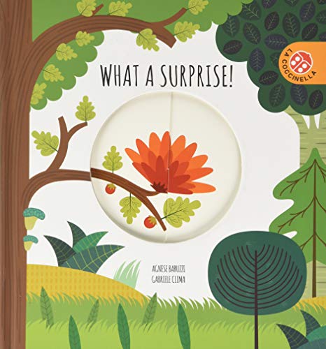 Beispielbild fr Magic Wheels: What a Surprise! zum Verkauf von WorldofBooks