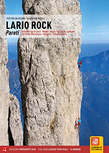 Stock image for Lario Rock: Pareti del lago di Lecoo-Medale-Grigne-Valsassina. for sale by libreriauniversitaria.it