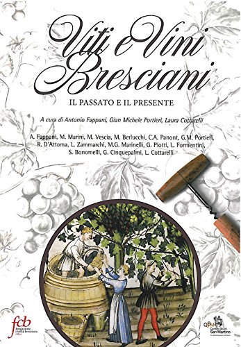 Stock image for Viti e vini bresciani. Il passato e il presente (Centro s. Martino. Memorie della campagna) for sale by libreriauniversitaria.it