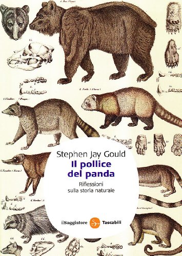 Il pollice del panda. Riflessioni sulla storia naturale (9788856500455) by Stephen Jay Gould