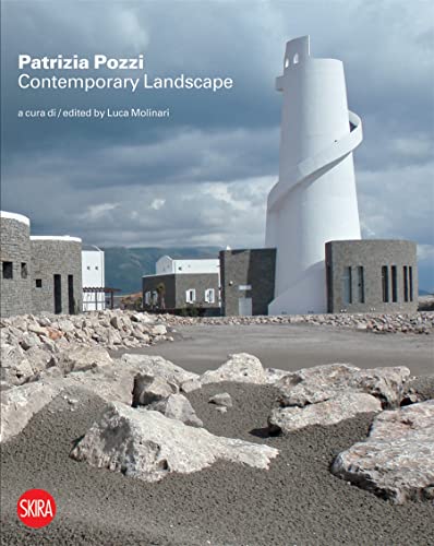 Stock image for Patrizia Pozzi: Contemporary Landscape: New Tales and Visions for sale by Magers and Quinn Booksellers