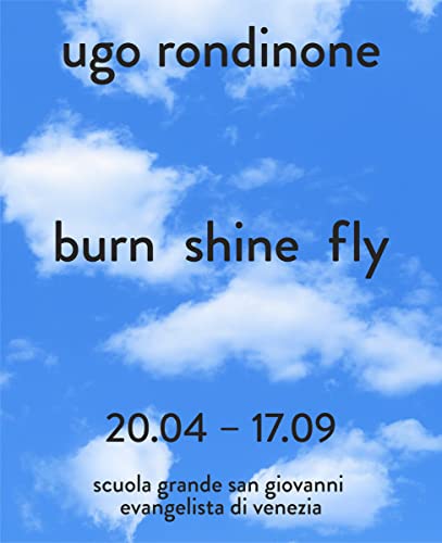 Stock image for Ugo Rondinone: Burn Shine Fly for sale by GF Books, Inc.