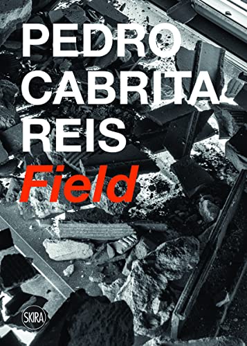 Imagen de archivo de Pedro Cabrita Reis: Field a la venta por ANARTIST