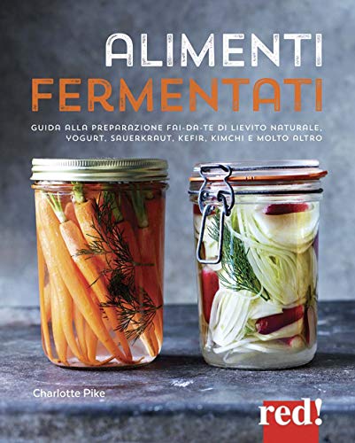 Imagen de archivo de ALIMENTI FERMENTATI a la venta por Brook Bookstore