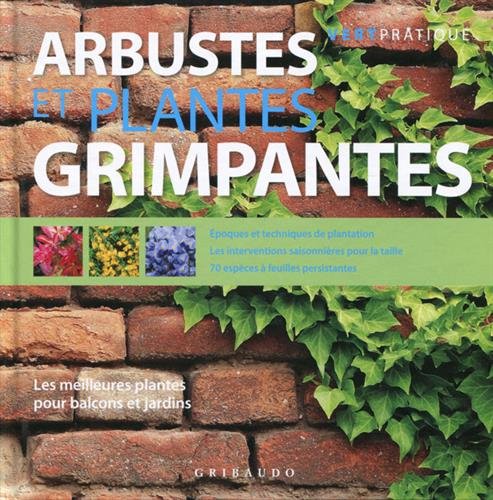 Beispielbild fr Arbustes et plantes grimpantes zum Verkauf von Ammareal