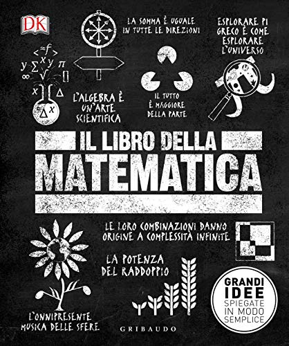 9788858025857: Il libro della matematica. Grandi idee spiegate in modo semplice (Straordinariamente)
