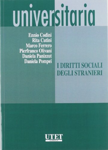 Imagen de archivo de I diritti sociali degli stranieri a la venta por libreriauniversitaria.it