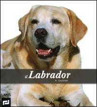 Il labrador (9788859941026) by Fournier, Alain