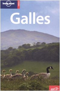 9788860401502: Galles (Guide EDT/Lonely Planet)