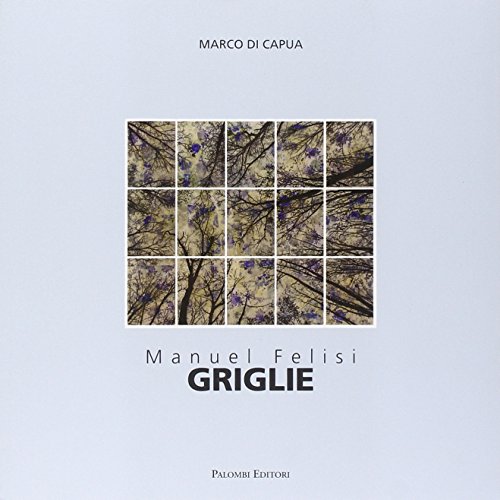 9788860606457: Manuel Felisi. Griglie. Catalogo della mostra (Roma, 18 ottobre-8 novembre 2014). Ediz. italiana e inglese