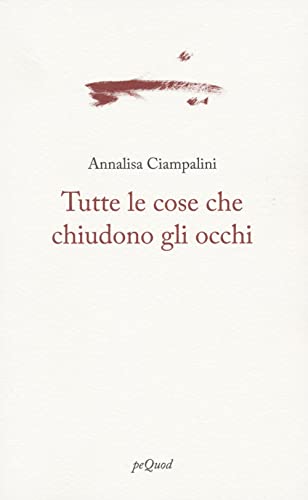 Imagen de archivo de TUTTE LE COSE CHE CHIUDONO (Italian) a la venta por Brook Bookstore