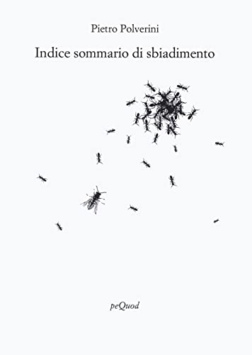 Imagen de archivo de INDICE SOMMARIO DI SBIADIMENTO (Italian) a la venta por Brook Bookstore On Demand