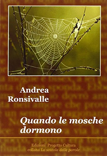 9788860924094: Quando le mosche dormono (La scatola delle parole)