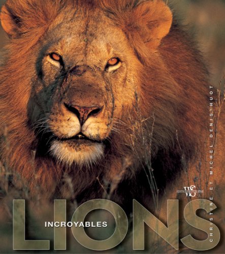 Beispielbild fr Incroyables lions zum Verkauf von Ammareal