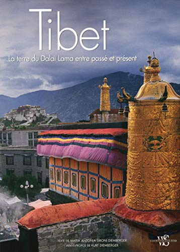 Stock image for Tibet : La Terre Du Dala Lama Entre Pass Et Prsent for sale by RECYCLIVRE