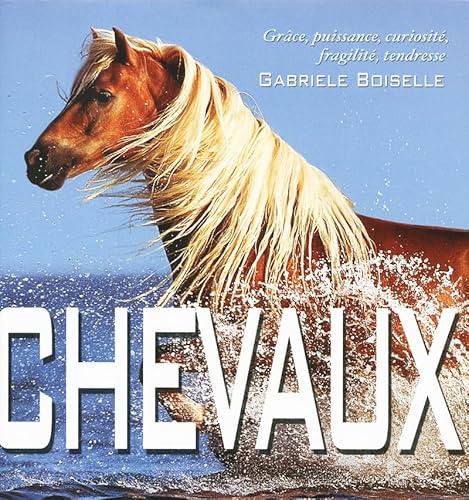 9788861124684: Chevaux (French Edition)