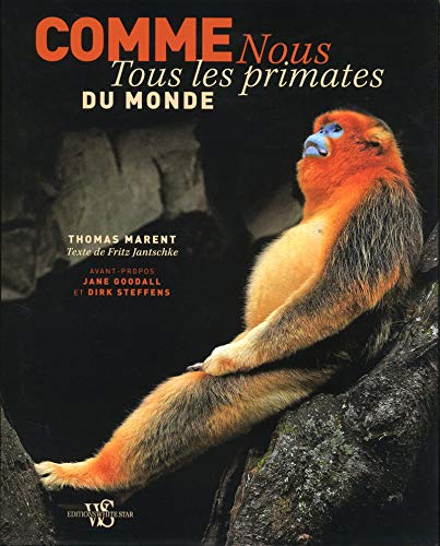 Imagen de archivo de Comme nous - Tous les primates du monde a la venta por medimops