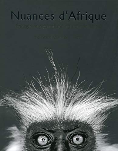 Stock image for Nuances d'Afrique for sale by Ammareal