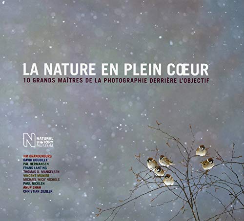 Beispielbild fr La nature en plein coeur - 10 grands matres de la photographie derrire l'objectif zum Verkauf von Ammareal