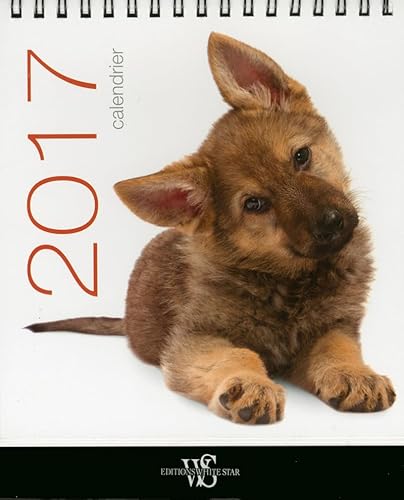 9788861128415: Calendrier de table chiens 2017