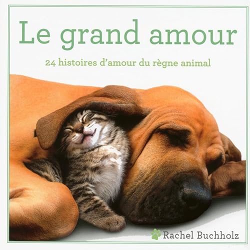 Stock image for Le grand amour Buchholz, Rachel et Kastner-Uomini, Marie for sale by BIBLIO-NET
